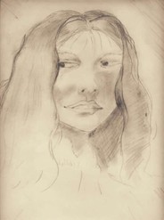 Once in the Land of the Hawk